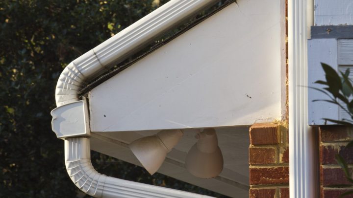 Why Leaf Guards Matter for Your Roof Protection