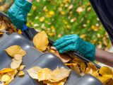 Gutter Cleaning Prices