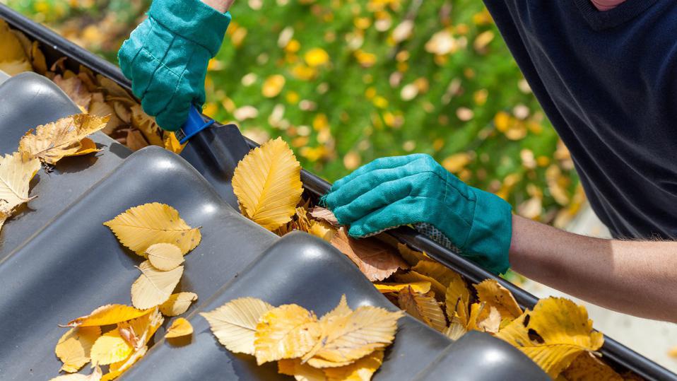 How to Clean Gutters: Simple Steps You Should Know