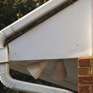 Roof Protection