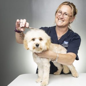 Mobile Pet Grooming