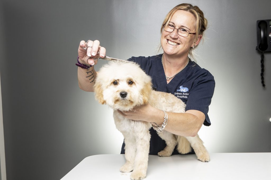 Mobile Pet Grooming