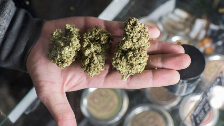 cannabis delivery toronto