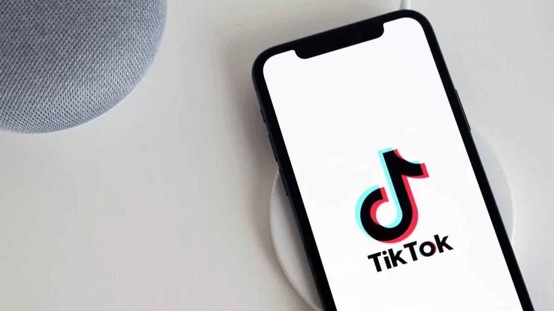 TikTok for Entrepreneurs: A Practical Guide to Success in the Social Media Age
